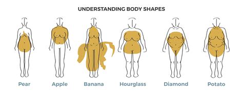 Understanding Body Shapes Women Viewed Straight On The