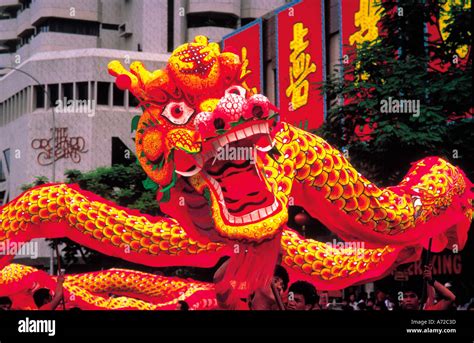 chinese dragons dancing  chinese  year festival singapore stock