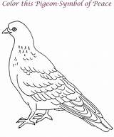 Coloring Pigeon Pages Kids Printable Dove Pigeons Colouring Cute Clipart Animals Print Birds Library Animal Popular sketch template