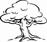 Tree Outline Clipart Simple Library Coloring sketch template