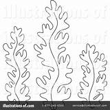 Seaweed Coloring Pages Sea Clipart Algae Weed Drawing Red Kelp Template Illustration Ocean Color Printable Birijus Awesome Alex Collection Print sketch template