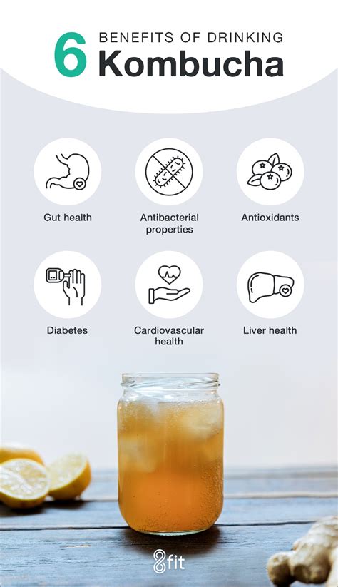 why is kombucha good for you frequently asked questions 8fit