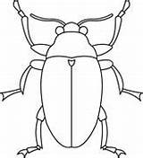 Insetti Insects Bug sketch template
