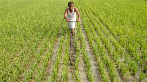 indias farmers arent     government policies rarely