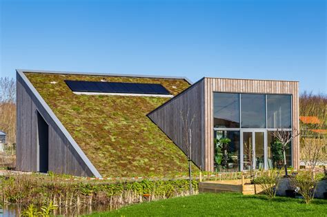 eco friendly houses  almere netherlands elemental green