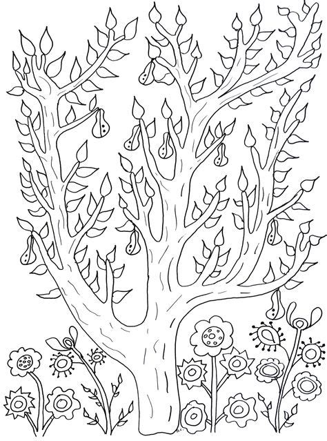 flowering tree coloring pages   images garden coloring