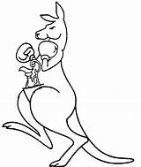 Kangaroo Drawing Boxing Clipart Draw Outline Color Cute Cartoon Clip Cliparts Coloring Drawings Pages Ornate Jug Trophy Library Logo Australia sketch template
