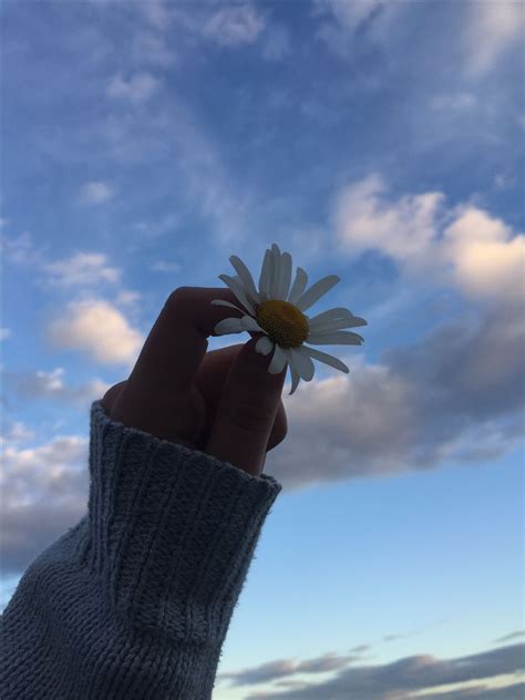 hand photography shadow photography instagram ideas photography