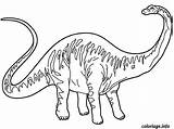 Diplodocus Dinosaure sketch template