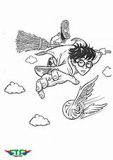 Quidditch Broom Snitch Chasing Nimbus Tsgos Netart Uniquecoloringpages Hedwig Rowling sketch template