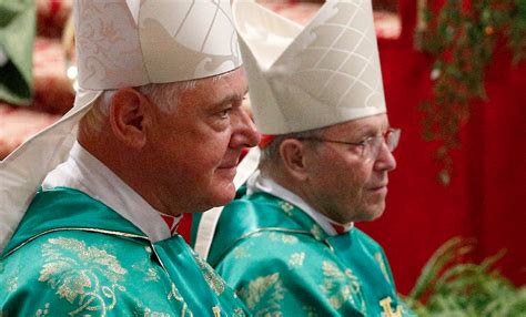 overlooked story of the week cardinals criticise vatican
