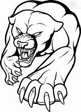 Panthers Pantera sketch template