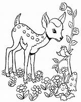Coloring Pages Deer Baby Cute sketch template