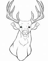 Deer Coloring Pages Head Outline Realistic Hunter Drawing Elk Hunting Printable Print Color Whitetail Colouring Getcolorings Getdrawings sketch template