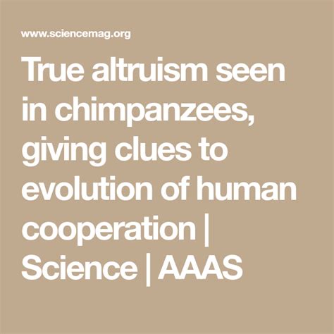 True Altruism Seen In Chimpanzees Giving Clues To