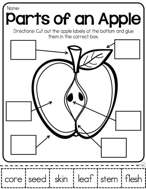 parts   apple apple activities apple preschool kindergarten science apple activities
