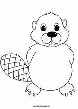 Biber Beaver Castoro Castor Bieber Kinderkram Malvorlage Zeichnungen Groundhog Ausdrucken Grundschule Tuttodisegni Buksan sketch template