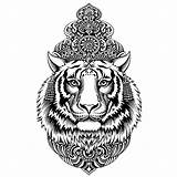 Tigre Indien Tigres Amelie Bengale Coloriages Traditionnelle Greatestcoloringbook sketch template