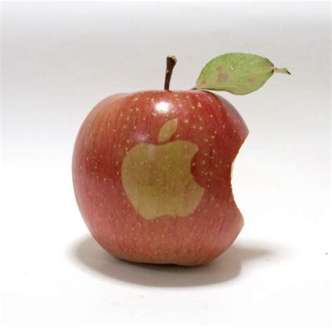 apple fanatic cultivated real apples  apple logo gigazine
