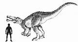 Scale Suchomimus Drawing Spinosaurid Theropod sketch template
