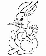Colorear Zanahoria Conejo Comiendo Conejito Conejos Tiernas Diviértete Dibujando sketch template