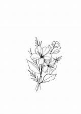 Minimalist Flower Drawing Flowers Line Drawings Floral Bouquet Paintingvalley sketch template