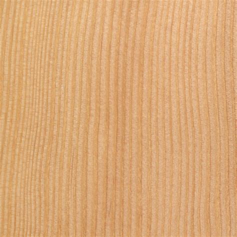 douglas fir  wood  softwood