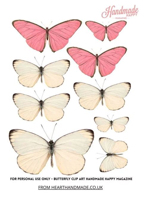 printable butterfly clipart pages   butterfly printable