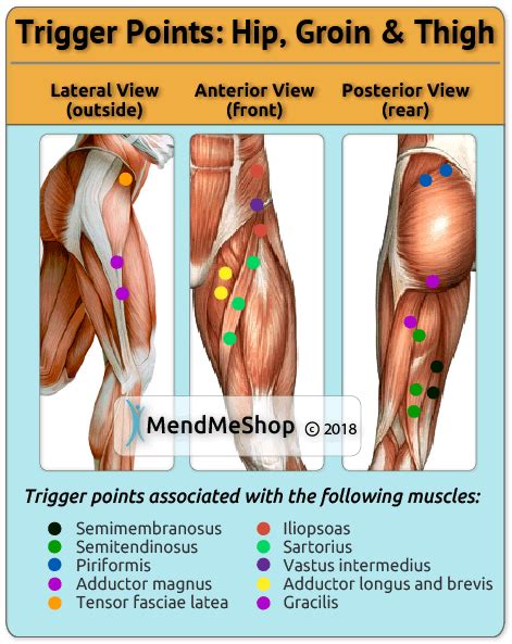 Trigger Points Of The Hamstring