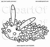 Nudibranch Coloring Slug sketch template