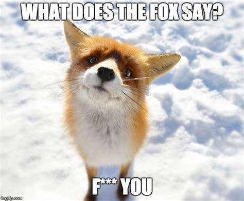 fox  imgflip