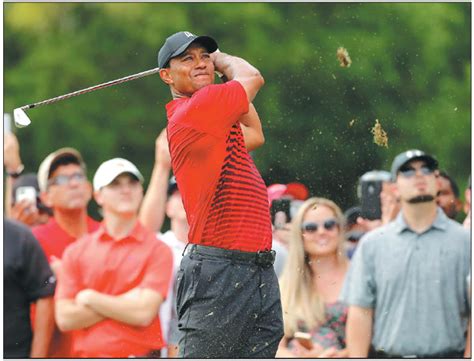 tiger woods tees off on the 15th hole during the final