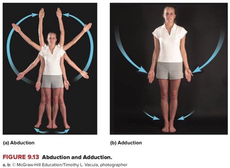 abduction  anatomy means laterally distal   knee abduction