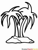 Sommer Palmen Malvorlagen Ausmalbilder Ausdrucken Isla Palms Vorlagen Pages Fensterbilder Palmeras Zugriffe Herbst Malvorlagenkostenlos Palmera sketch template