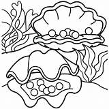Clam Coloring Pages Getcolorings Printable sketch template
