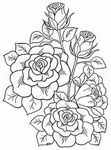 Coloring Roses Pages Adults Pany Crafting Gallifrey Beautiful sketch template
