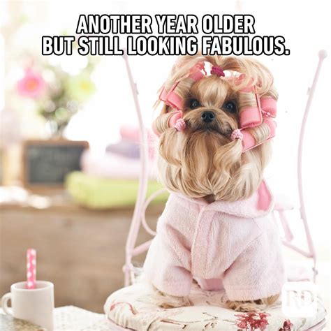 funniest happy birthday memes readers digest