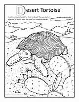 Desert Coloring Pages Tortoise Print Arizona Sulcata sketch template