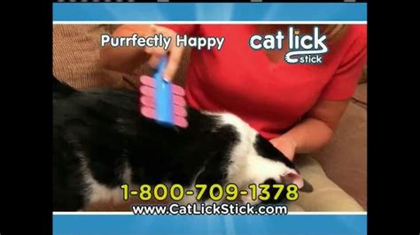 cat lick spot xxx porn library
