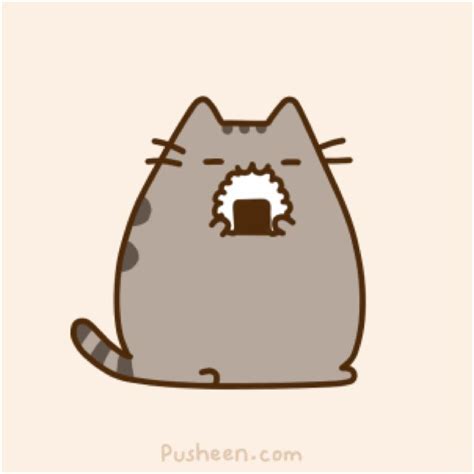 pusheen eating rice  japan pusheen cute pusheen sushi cat