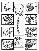 Preschool Printables Book Cards1 Designlooter sketch template