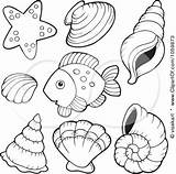 Coloring Shell Pages Conch Sea Kids Getcolorings Colouring Printable Seashells Color Animal Creatures Things Fish Book Visit Books Designlooter Drawings sketch template