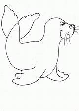 Seal Coloring Pages Swimming Drawing Kids Animal Clipart Cute Baby Getdrawings Library sketch template