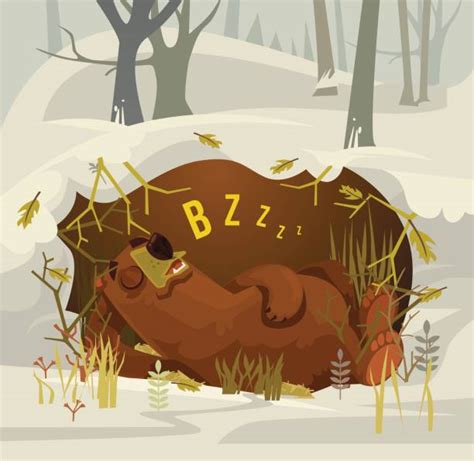 royalty free hibernation clip art vector images and illustrations istock