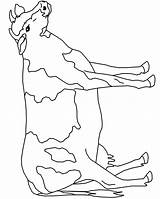Pages Bauernhoftiere Ausmalbilder Cows Kuh Warhol Vaca Letzte Kostenlos Coloringhome sketch template