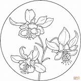 Circle Coloring Flower Pages Flowers Printable Supercoloring Colorier Drawing Jonquilles Colouring Pattern Fleur Columbine Coloriage Books Mandala Per Drawings sketch template
