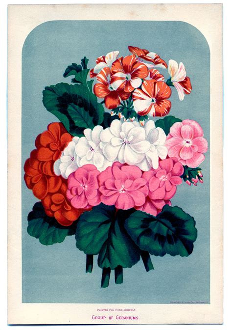 printable vintage floral images remodelaholic bloglovin