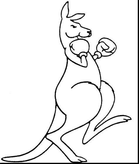 kangaroo coloring page    clipartmag