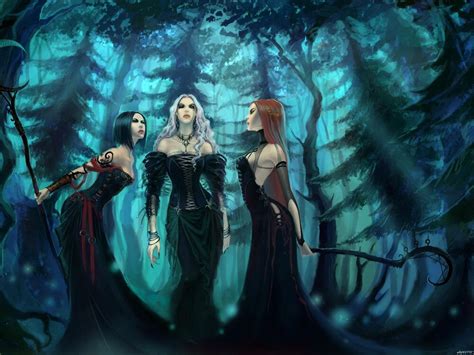 Three Hot Witches Forest Night Fantasy Art Huge Print Poster Txhome