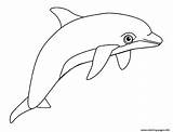 Dauphin Coloriage Dauphins Coloriages Dessiner Delfini Aquatic Colorier Cheval Hugolescargot sketch template